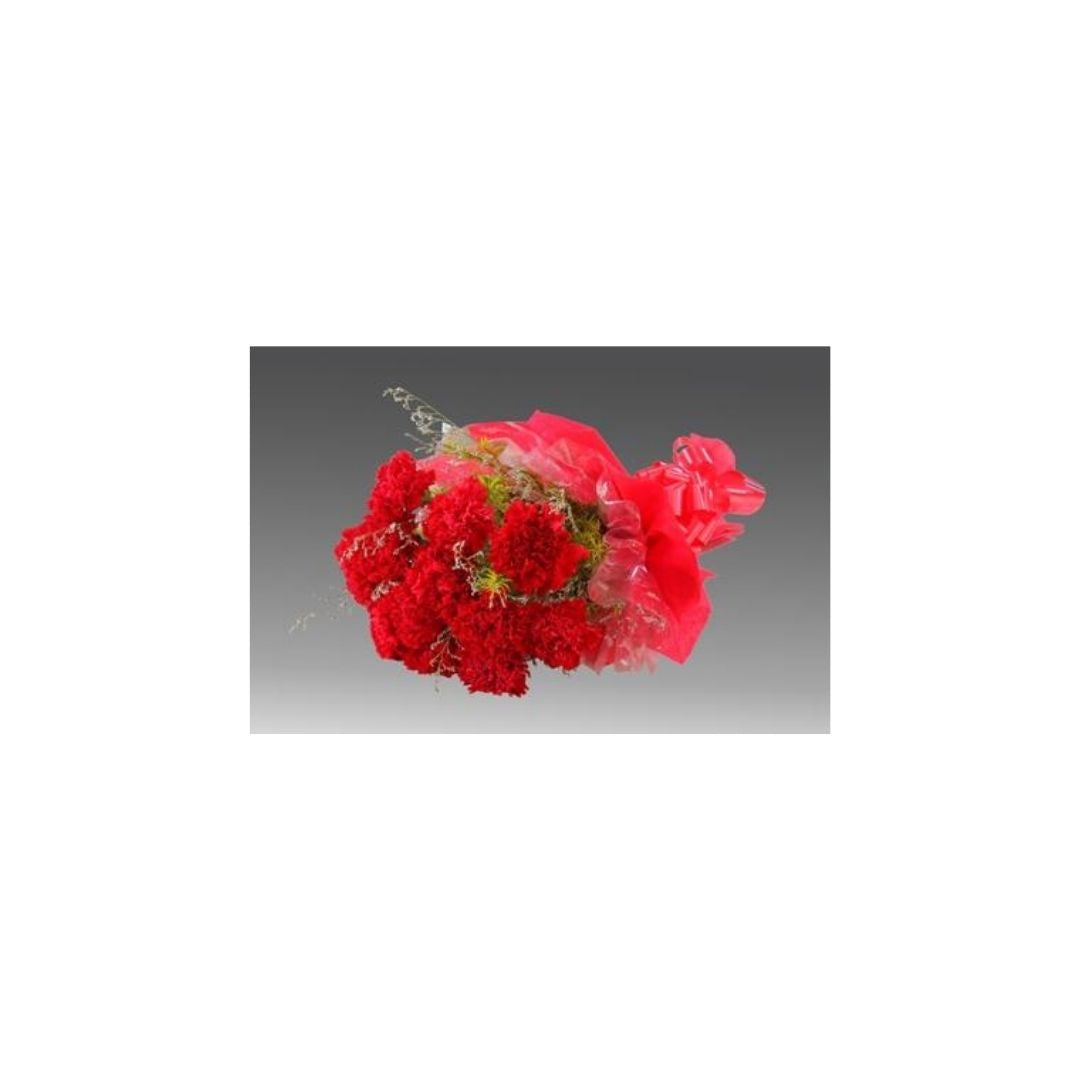 Charming Carnations