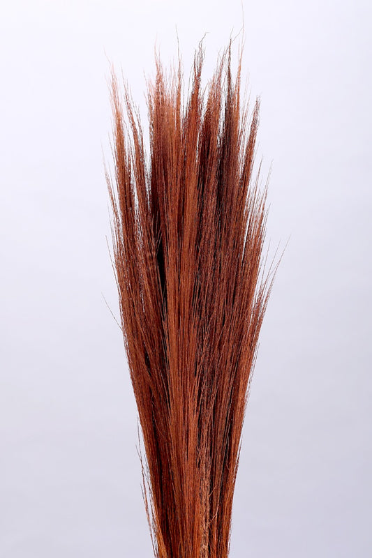 Broom Grass (200gms)