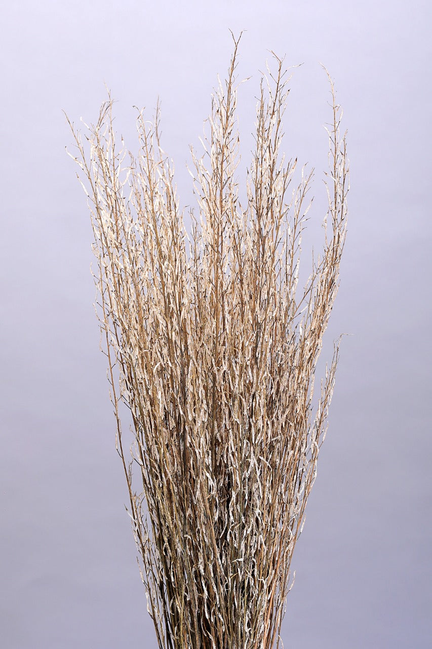 Sarash Grass (200gms)