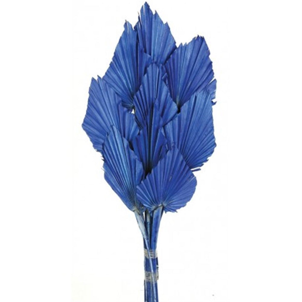 Floralis Palm Spear x 10 Pcs