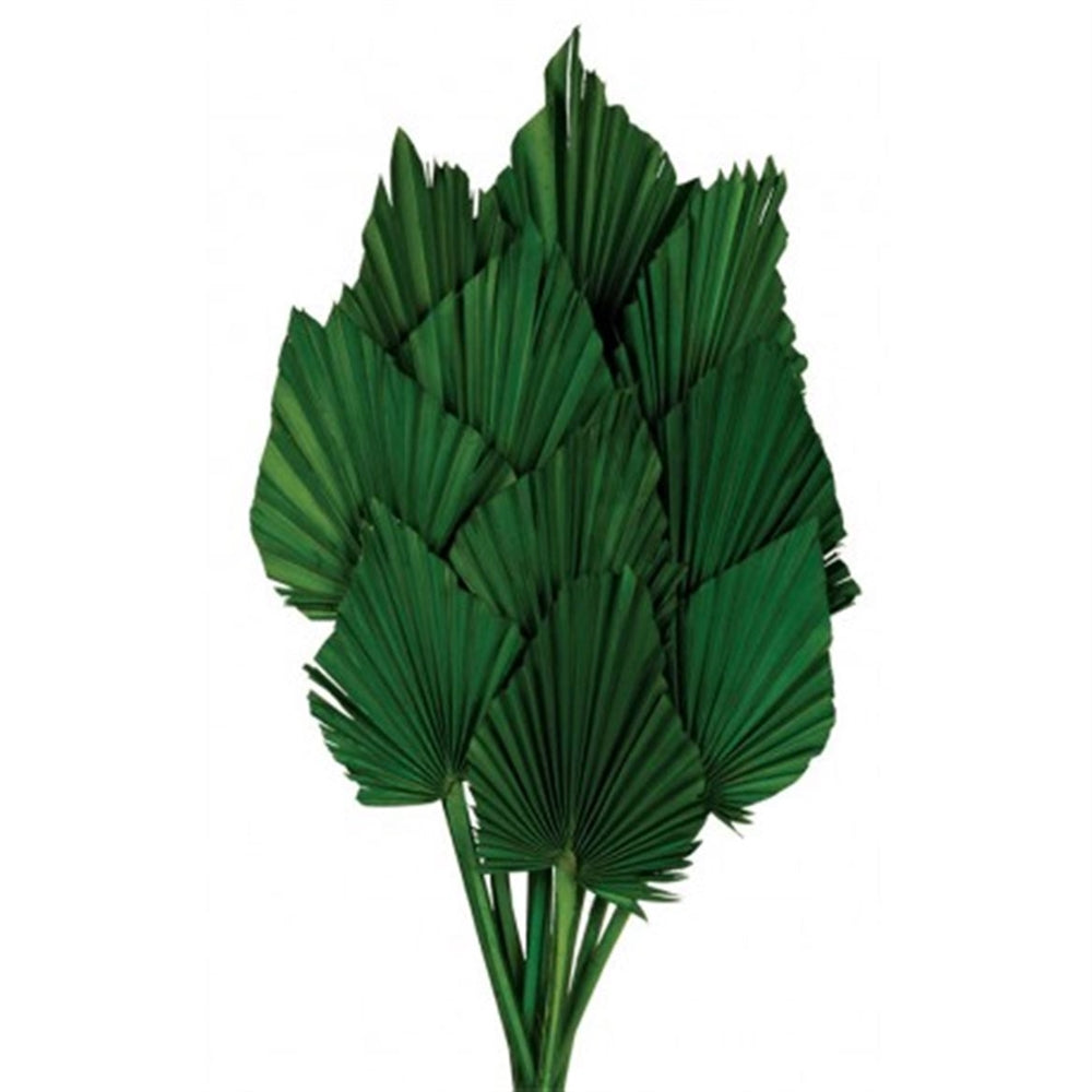 Floralis Palm Spear x 10 Pcs