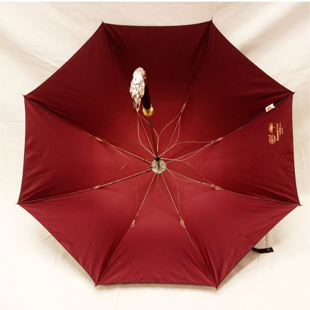 Special Handle Umbrella Eagle