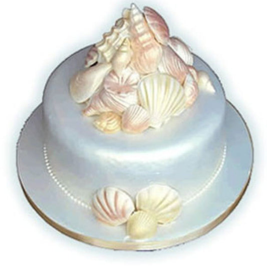 Seashell Cake