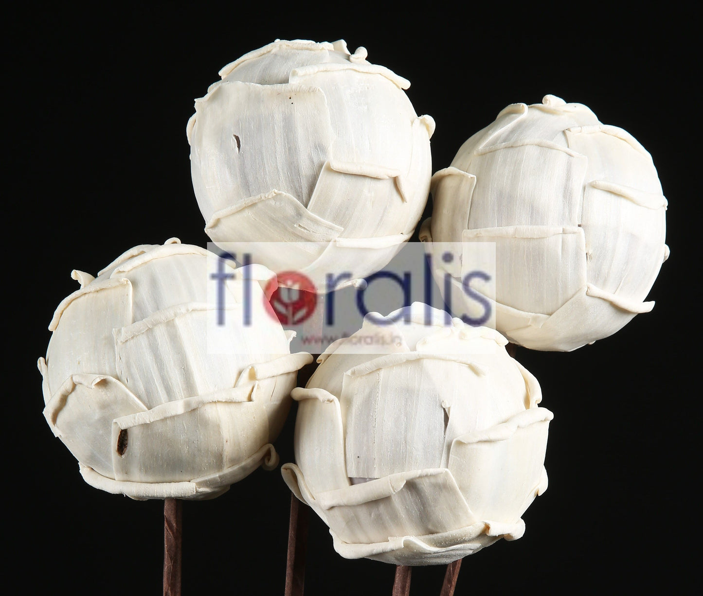 Sola Cabbage Ball 6cms, 8cms, 10cms - Pack of 10 Pcs