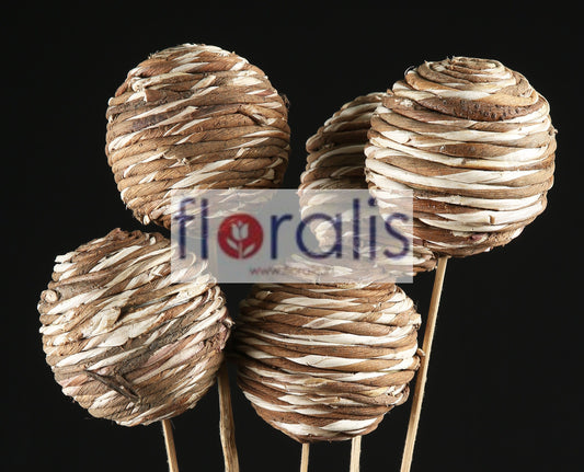 Sola Rope Ball 6cms, 8cms, 10cms - Pack of 10 Pcs