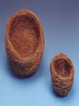 Bird Nest Natural 3.5cms - Pack of 5