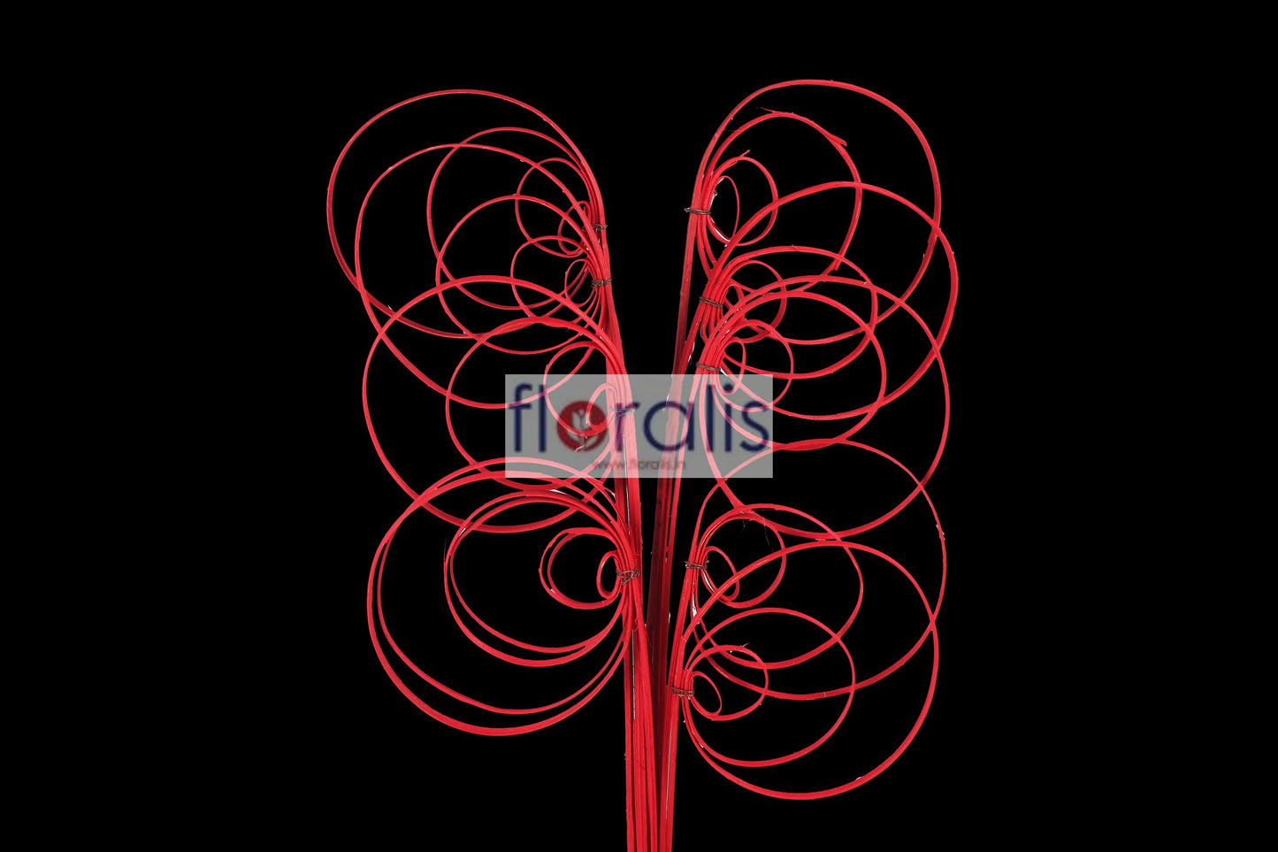 Cane Coil Red - Pack of 10 Pcs