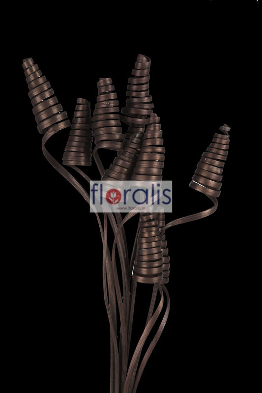 Cane Cone Brown - Pack of 10 Pcs