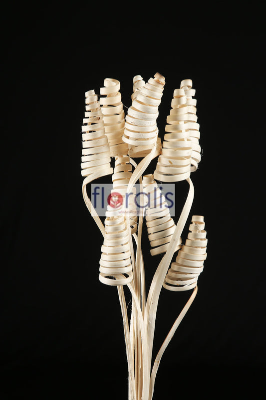 Cane Cone Bleach - Pack of 10 Pcs