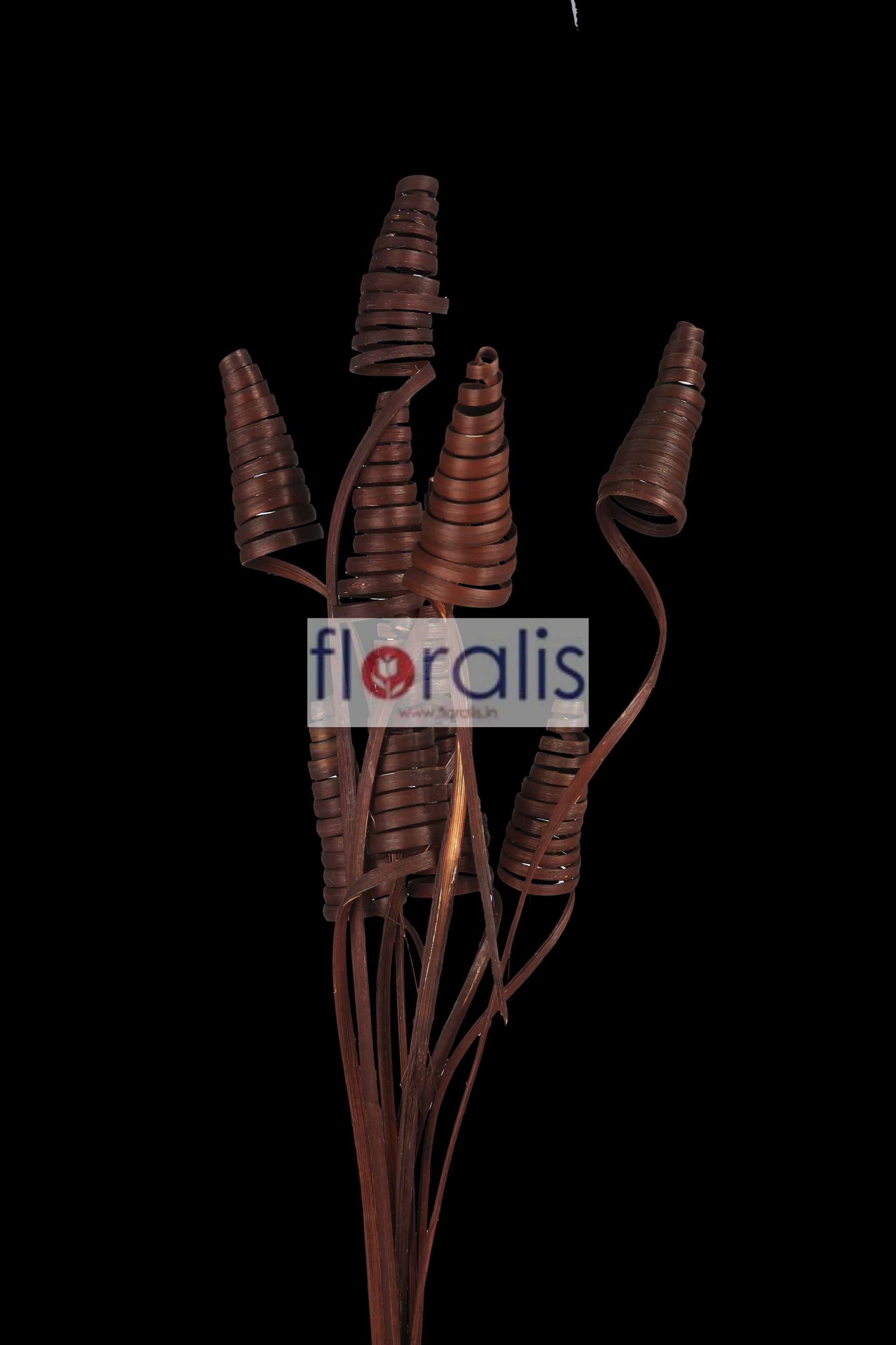 Cane Cone Light Brown - Pack of 10 Pcs
