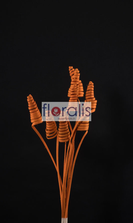 Cane Cone Orange - Pack of 10 Pcs