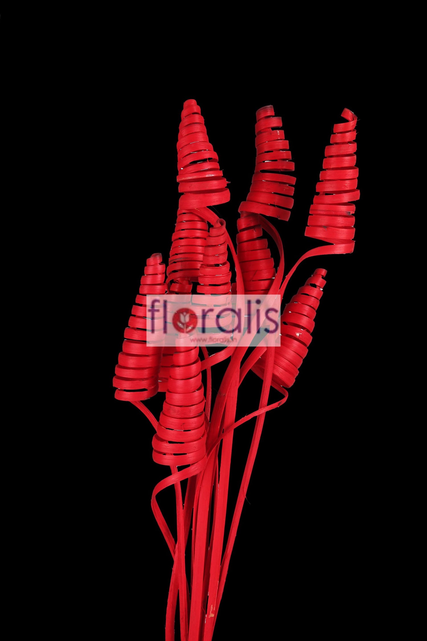 Cane Cone Red - Pack of 10 Pcs
