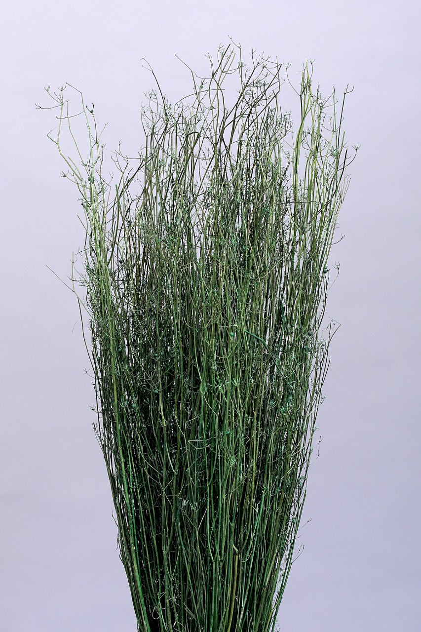 Dhania Grass (200gms)