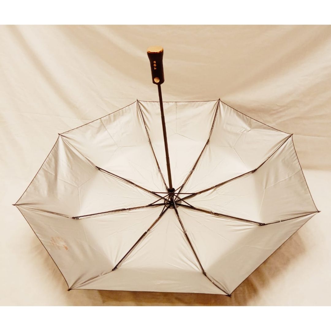 Bluetooth Umbrella