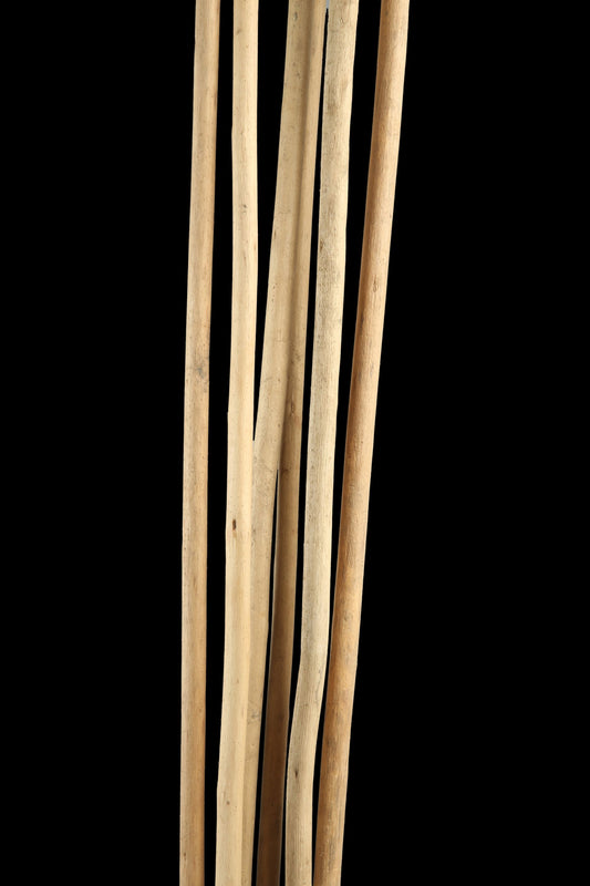 Dry Stick 100cms