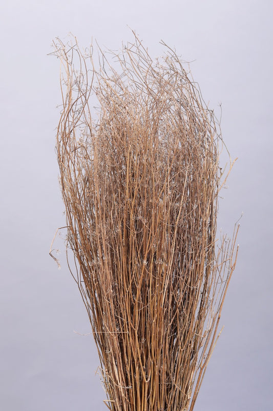Dhania Grass (200gms)