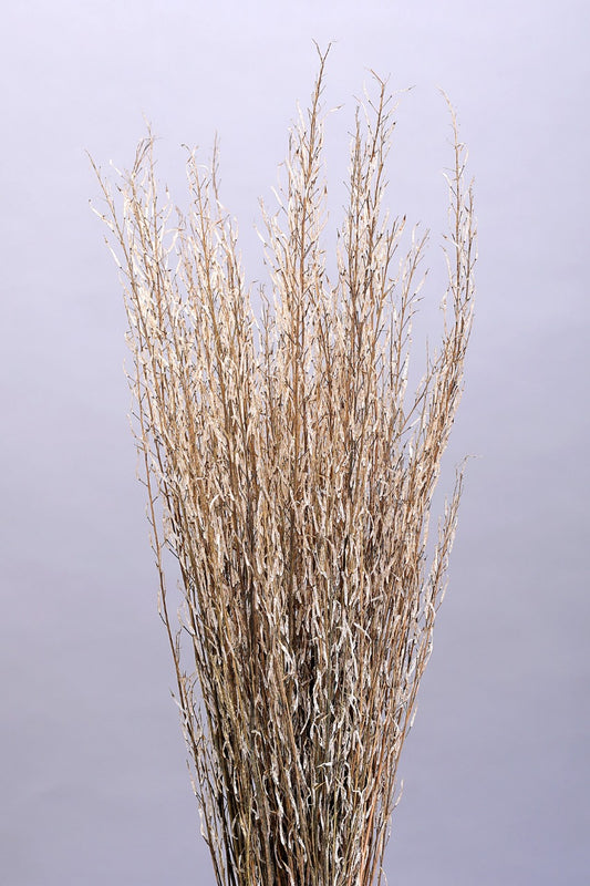 Sarash Grass (200gms)