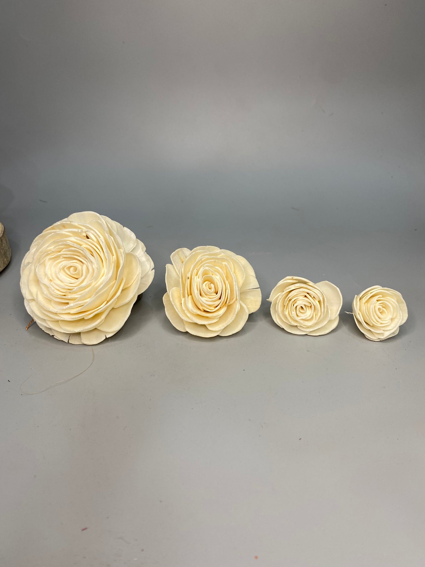 Sola Flower Beauty Rose (10pcs)