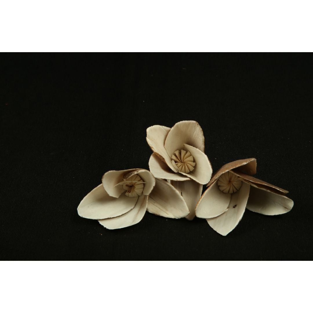 Sola Flower Lily (10pcs)