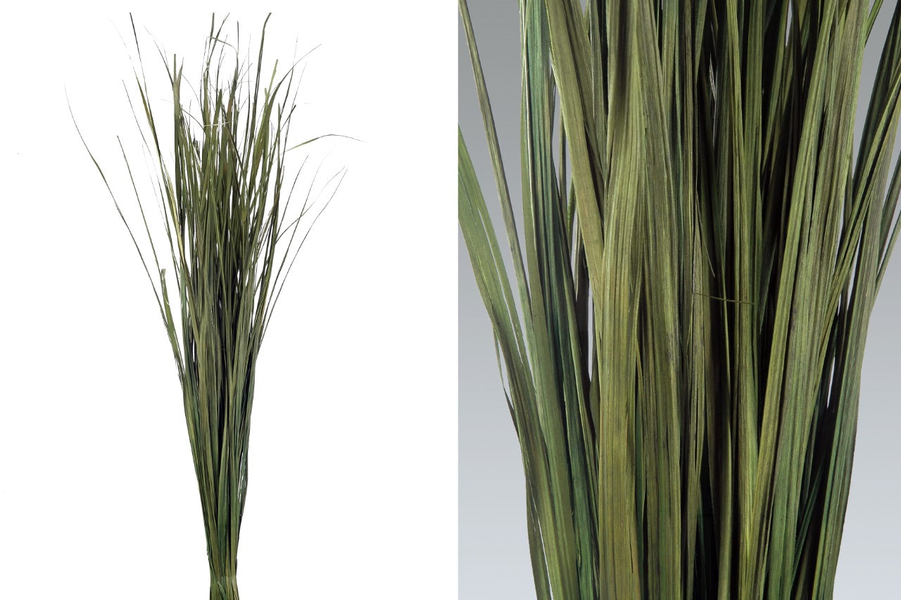 Whisper Grass (200gms)