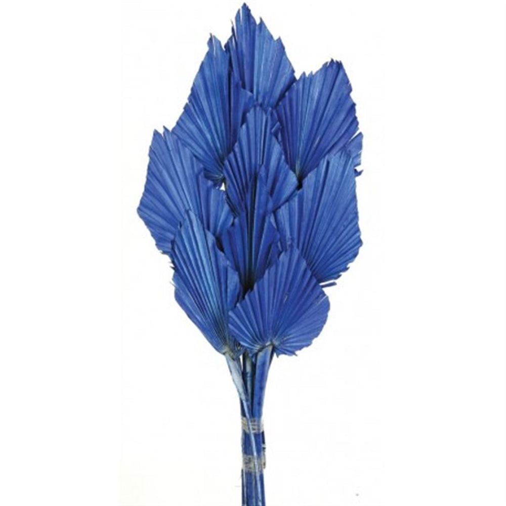Floralis Palm Spear Mini x 10Pcs