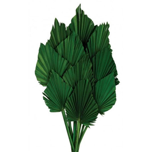 Palm Spear (25Pcs)